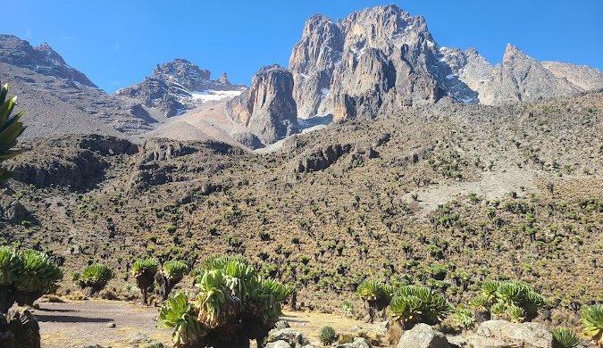 Lions in Masai Mara – Kenya safari